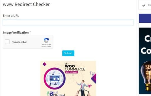 redirect checker guide